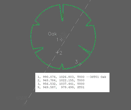 Three point tree. Comment code --3ST01 -> 3 points and reference to the observation station ST01. 1 Directly on tree trunk. 2 Along a line towards the side of the tree either side, before or after the tree. 3 Anywhere on the spread